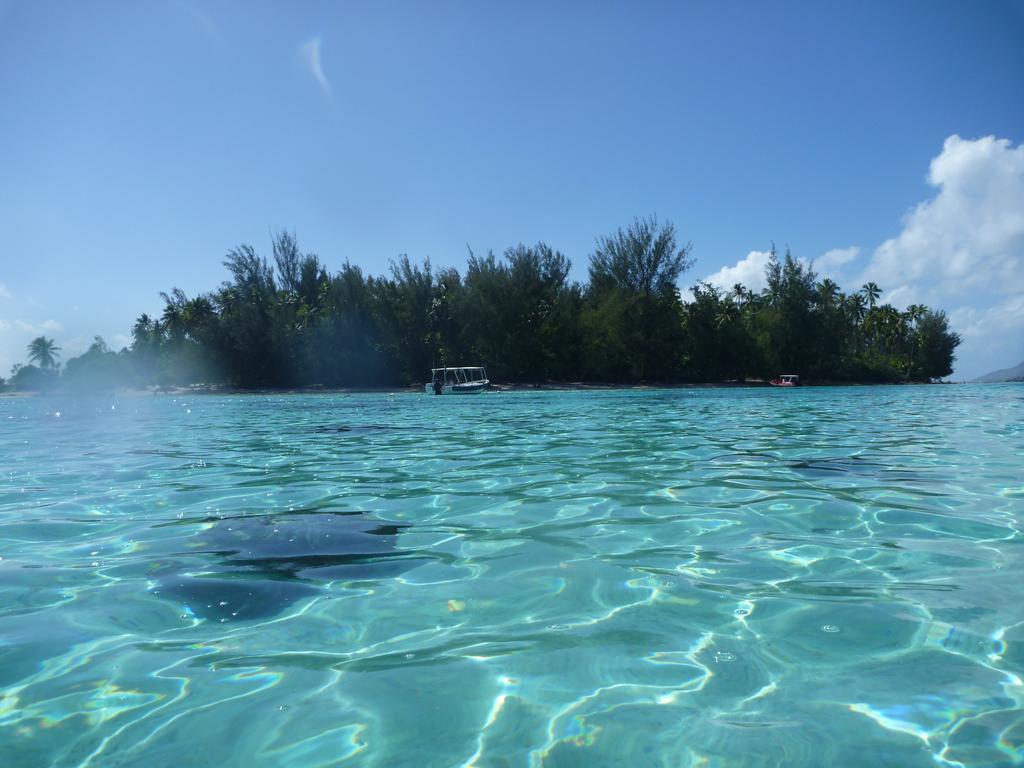 Fare Vaihere Moorea Exteriér fotografie